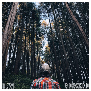 Album Gorwedd from Dewi