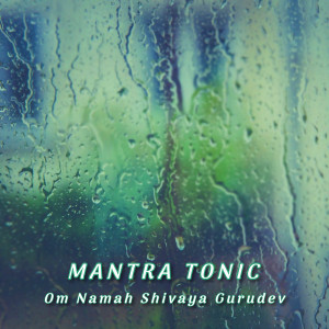 Album Om Namah Shivaya Gurudev oleh Mantra Tonic
