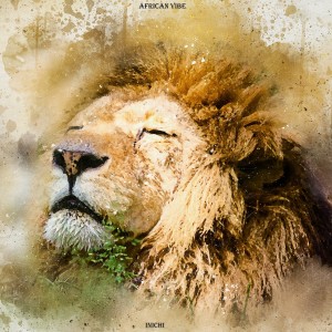 Listen to African Vibe song with lyrics from iNichi