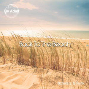 Schwarz的专辑Back to the Beach