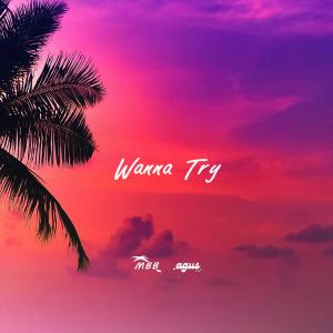 MBB的專輯Wanna Try (feat. Otto Palmborg)
