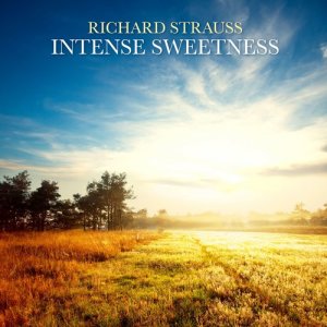 Moscow RTV Symphony Orchestra的专辑Richard Strauss: Intense Sweetness