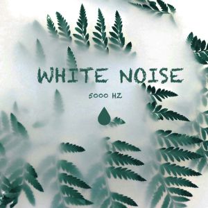 อัลบัม White Noise - 5000 Hz ศิลปิน Chill Sleep