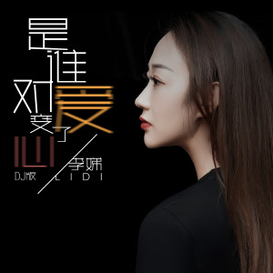 Album 是谁对爱变了心 (DJ版) from 李娣