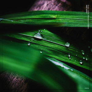 ดาวน์โหลดและฟังเพลง Inner World พร้อมเนื้อเพลงจาก Drxnk