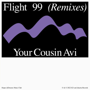 Flight 99 (Your Cousin Avi Remix) dari Please Wait
