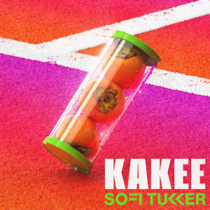 ดาวน์โหลดและฟังเพลง Kakee พร้อมเนื้อเพลงจาก Sofi Tukker