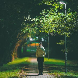 อัลบัม Where`s Love ศิลปิน Yegam