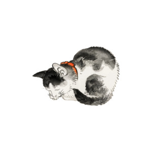 ดาวน์โหลดและฟังเพลง Cat naps พร้อมเนื้อเพลงจาก Milocero