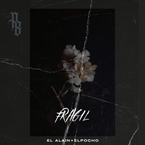 Album Frágil from El Pocho