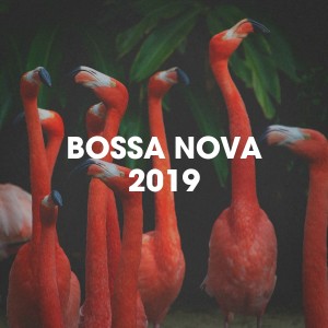 Bosanova Brasilero的專輯Bossa Nova 2019