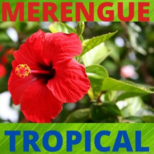 Listen to Morenita song with lyrics from Jerry Vargas