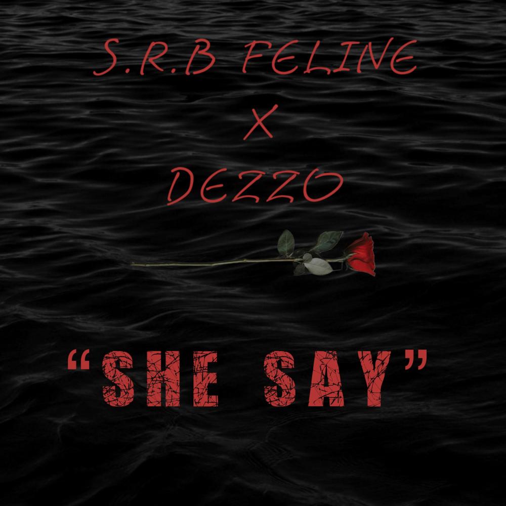 She Say (feat. S.R.B Feline & Dezzo) (Explicit)