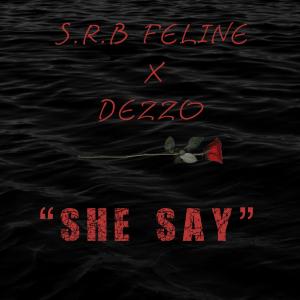 收聽bagztribe的She Say (feat. S.R.B Feline & Dezzo) (Explicit)歌詞歌曲