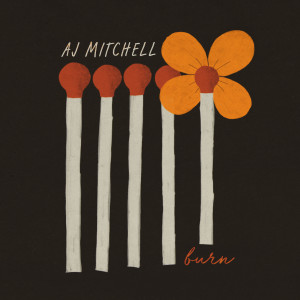 ดาวน์โหลดและฟังเพลง Burn พร้อมเนื้อเพลงจาก AJ Mitchell