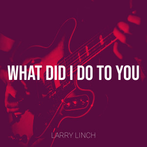 Album What Did I Do to You from Larry Linch