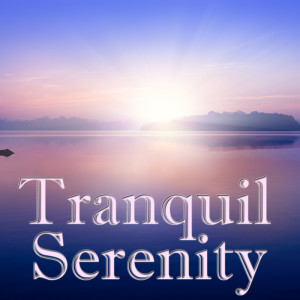 Album Tranquil Serenity, Vol.5 oleh Power Sufi