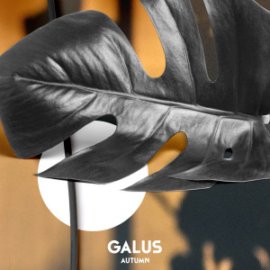 ดาวน์โหลดและฟังเพลง Autumn พร้อมเนื้อเพลงจาก Galus