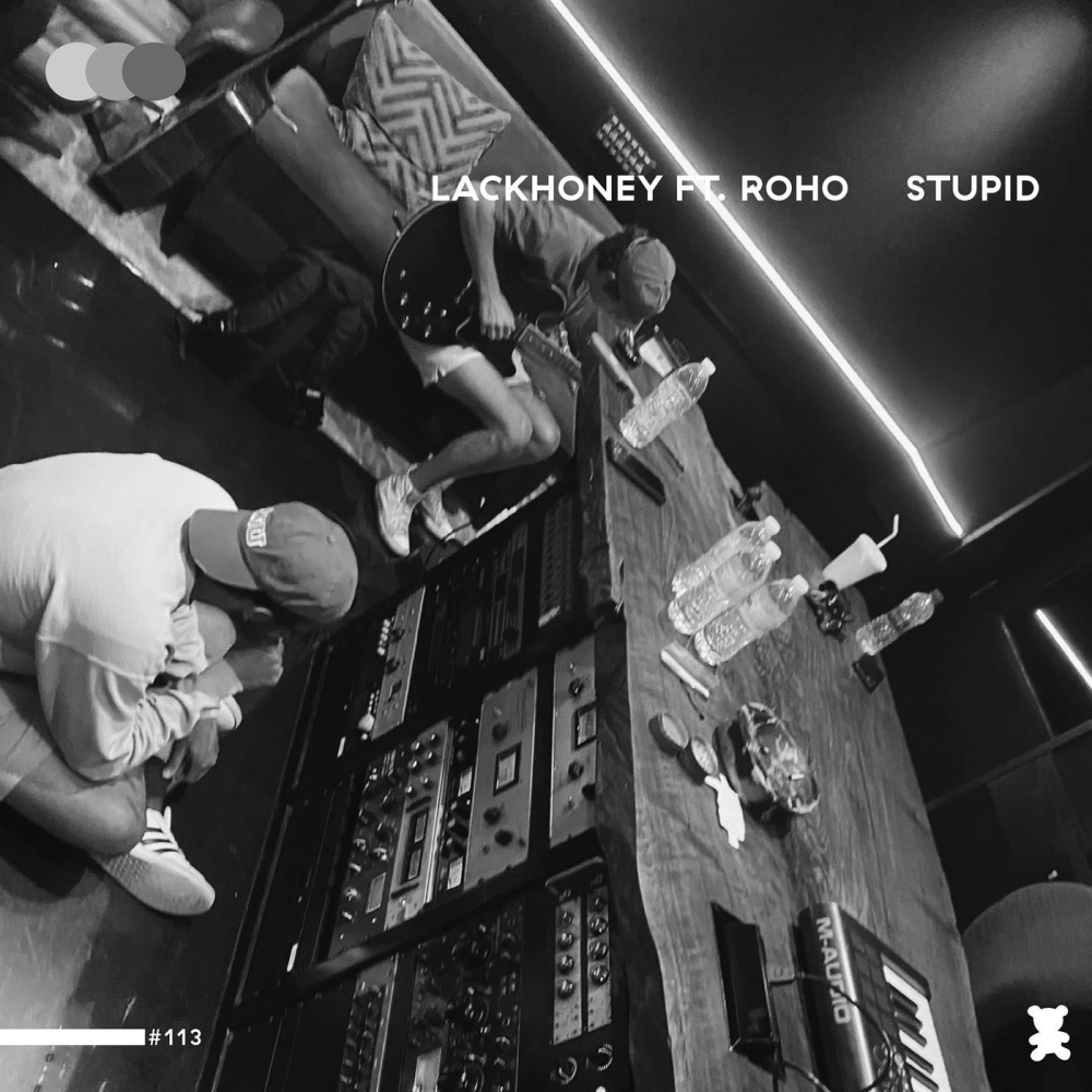 Stupid (feat. ROHO) (Explicit)