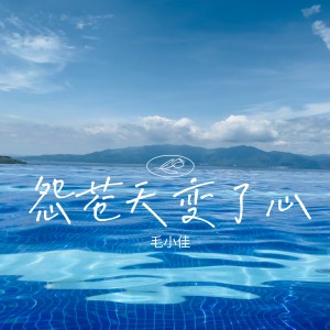 毛小佳的專輯怨蒼天變了心（女聲版）