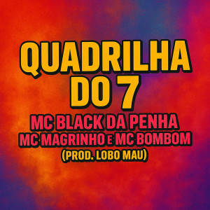 ดาวน์โหลดและฟังเพลง Quadrilha do 7 (Explicit) พร้อมเนื้อเพลงจาก MC Bombom