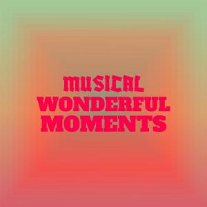 Album Musical Wonderful Moments from Various