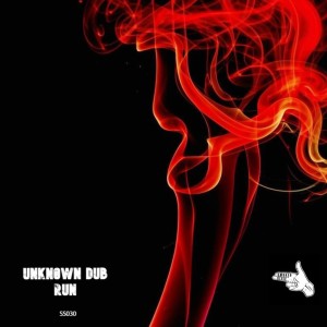 ดาวน์โหลดและฟังเพลง Run พร้อมเนื้อเพลงจาก Unkn0wn Dub
