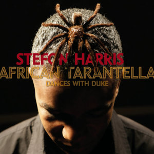 收聽Stefon Harris的From The Gardner Meditations: Memoirs Of A Frozen Summer歌詞歌曲