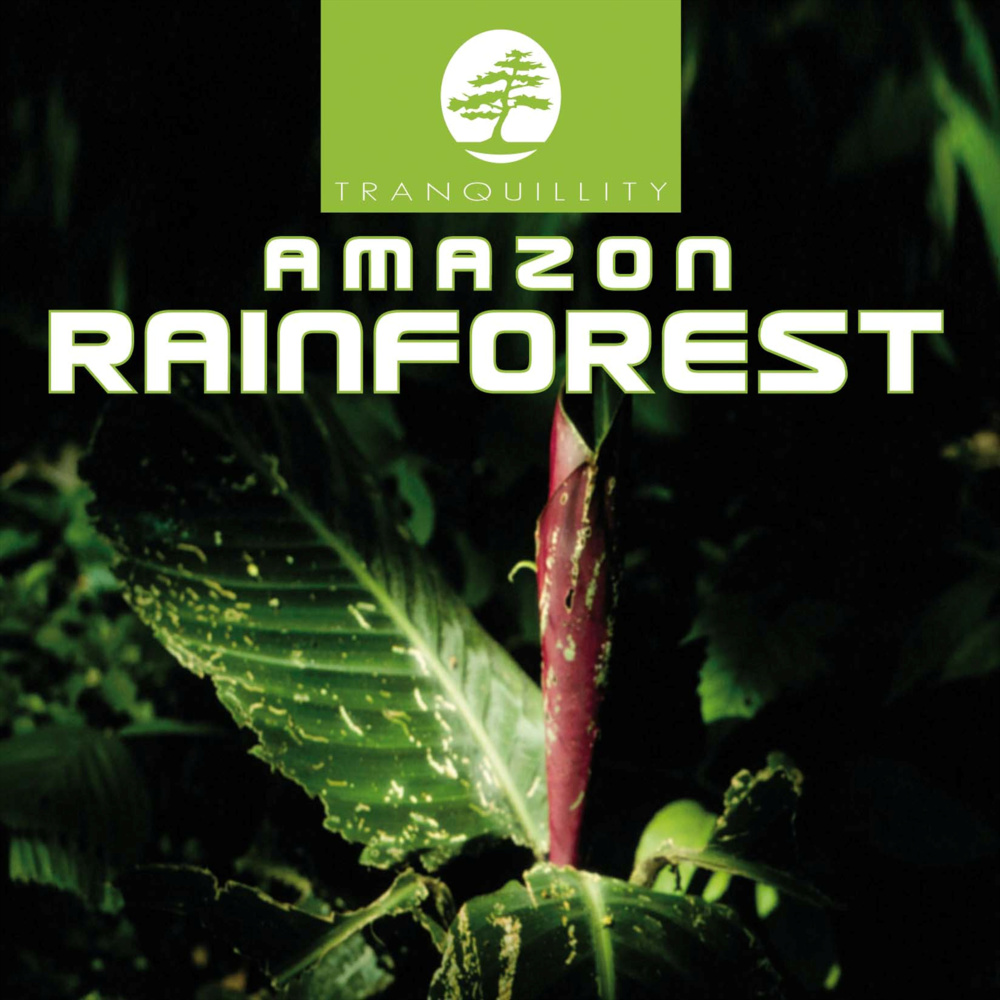 Amazon Rainforest Part 4 - Original