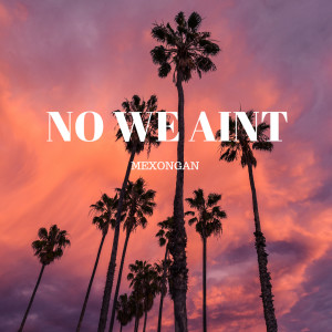 Album No We Ain't (Explicit) oleh Mexongan