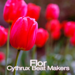 อัลบัม Flor ศิลปิน cythrux beat makers