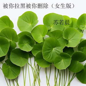 Album 被你拉黑被你删除 (女生版) from 苏若晨