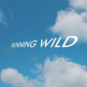 Parade的專輯Running Wild