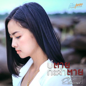 ดาวน์โหลดและฟังเพลง บ่ตายกะส่ำตาย พร้อมเนื้อเพลงจาก ดา อีสานแลนด์