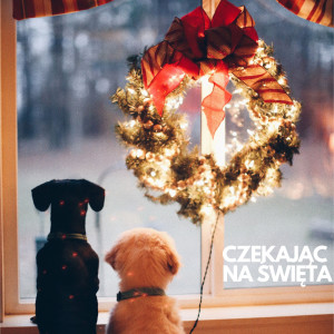 ดาวน์โหลดและฟังเพลง Christmastime พร้อมเนื้อเพลงจาก Smashing Pumpkins
