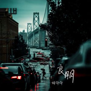 何仟仟的专辑良朋