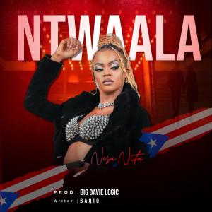 Nesa Nita的专辑NTWAALA