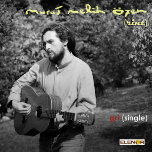 Dengarkan Marjinal Kurbağa lagu dari Murat Melih Özen dengan lirik