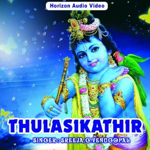 ดาวน์โหลดและฟังเพลง Arikilvaroo พร้อมเนื้อเพลงจาก G.Venugopal