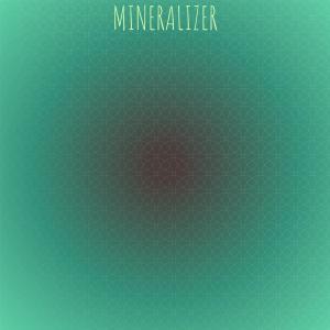 อัลบัม Mineralizer ศิลปิน Various Artists