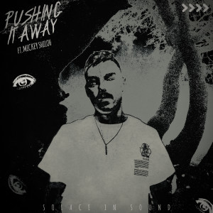 Solace In Sound的專輯Pushing it Away