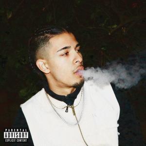 收聽VLASS的Wine & Weed (feat. LiZi & SPACEDOUT!) (Explicit)歌詞歌曲