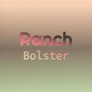 Listen to Ranch Bolster song with lyrics from Janiel Diart