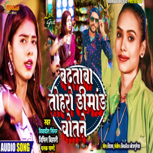 收聽Vipin Bihari的Badhatava Toharo Dimand Otane歌詞歌曲