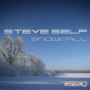 Steve Self的專輯Snowfall
