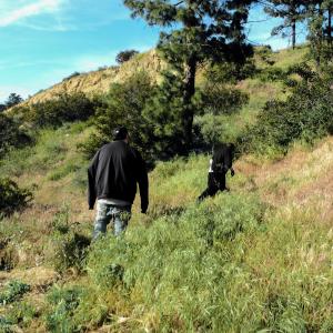 Dengarkan Meadow (Explicit) lagu dari Joeyy dengan lirik