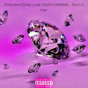 Album Burn It Now from 