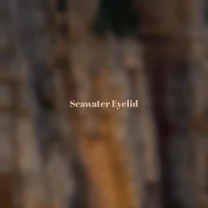 อัลบัม Seawater Eyelid ศิลปิน Various