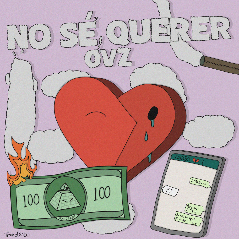 No sé querer: (