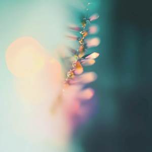 Simon Wester的專輯Echoes of Redemption